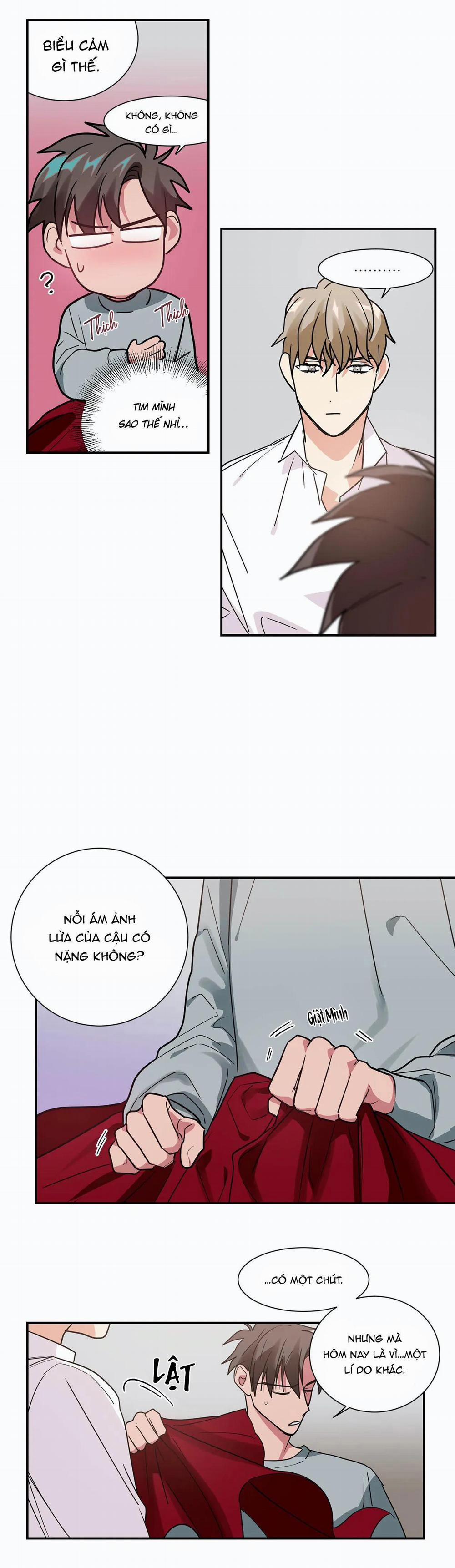 Mâu thuẫn và tương phản 12 trang 8