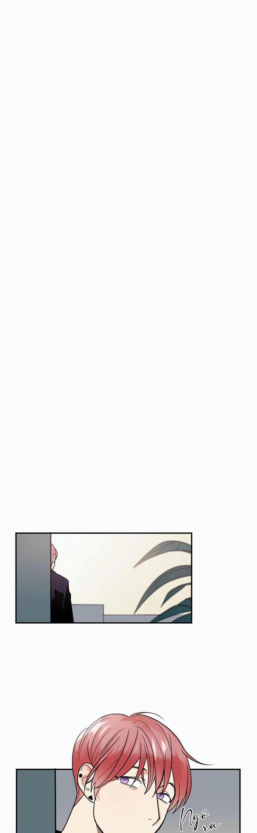 Mâu thuẫn và tương phản 13 trang 10