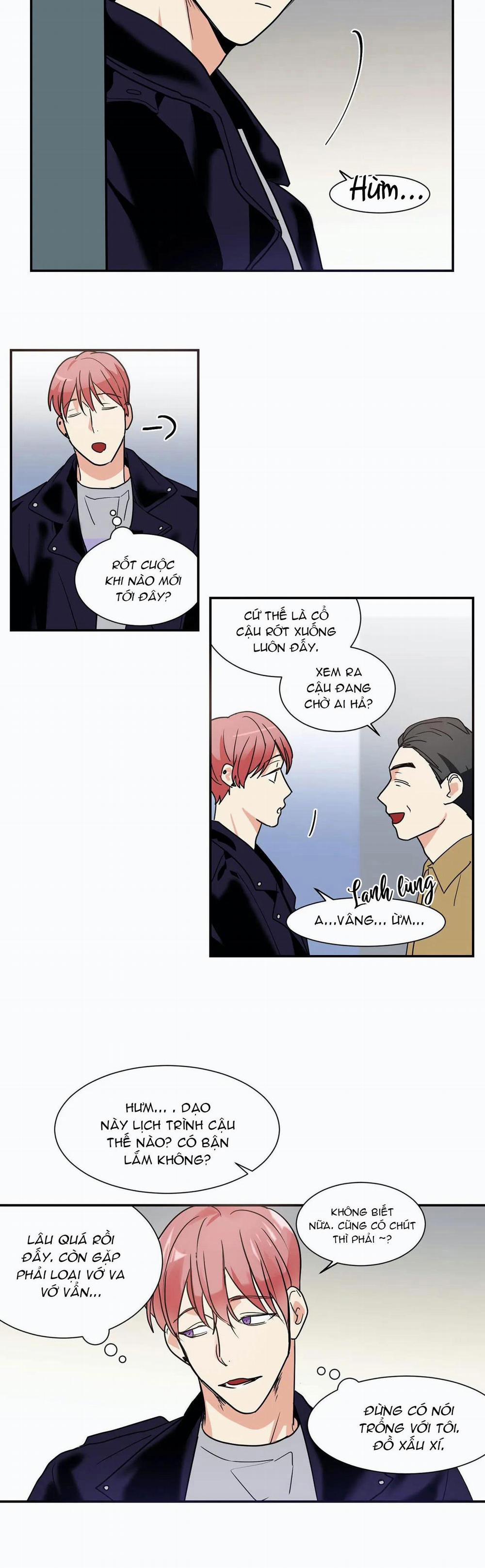 Mâu thuẫn và tương phản 13 trang 11