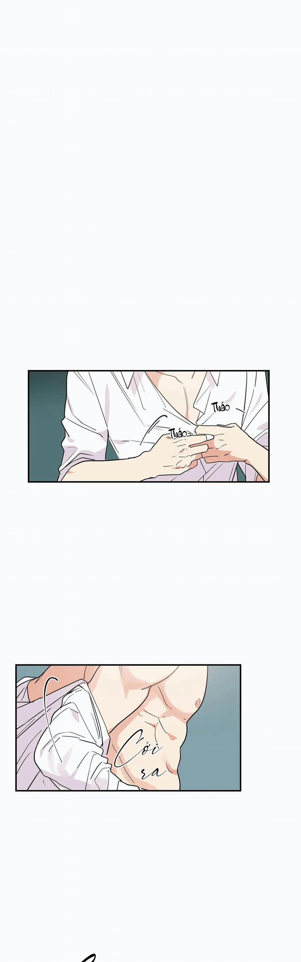 Mâu thuẫn và tương phản 13 trang 13