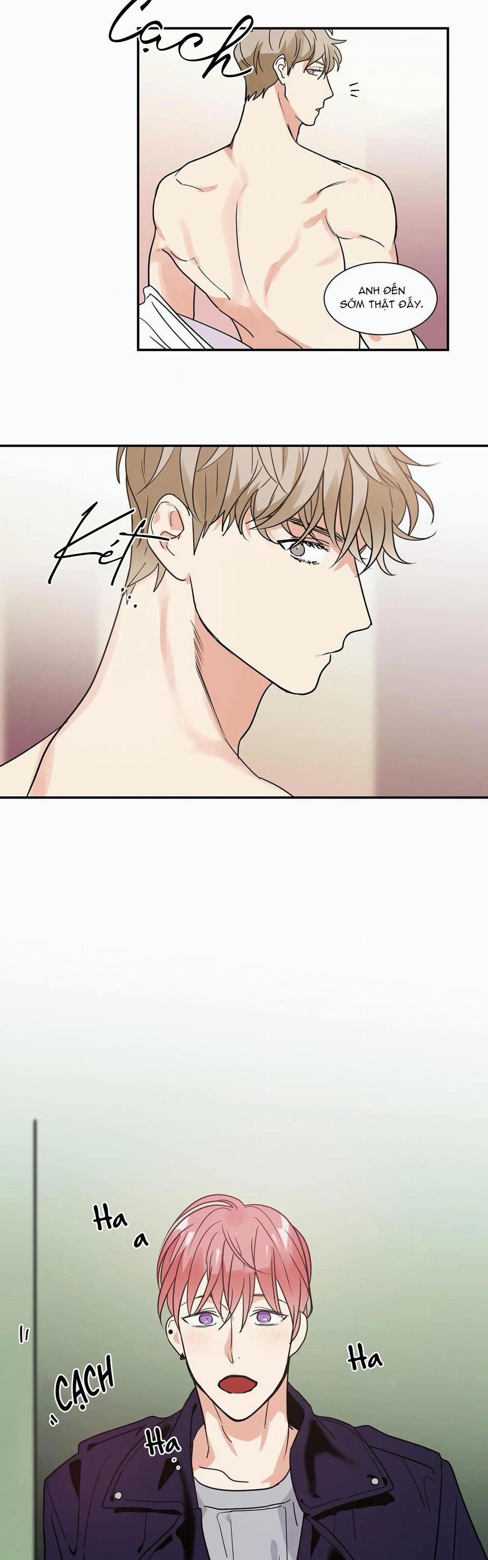 Mâu thuẫn và tương phản 13 trang 14