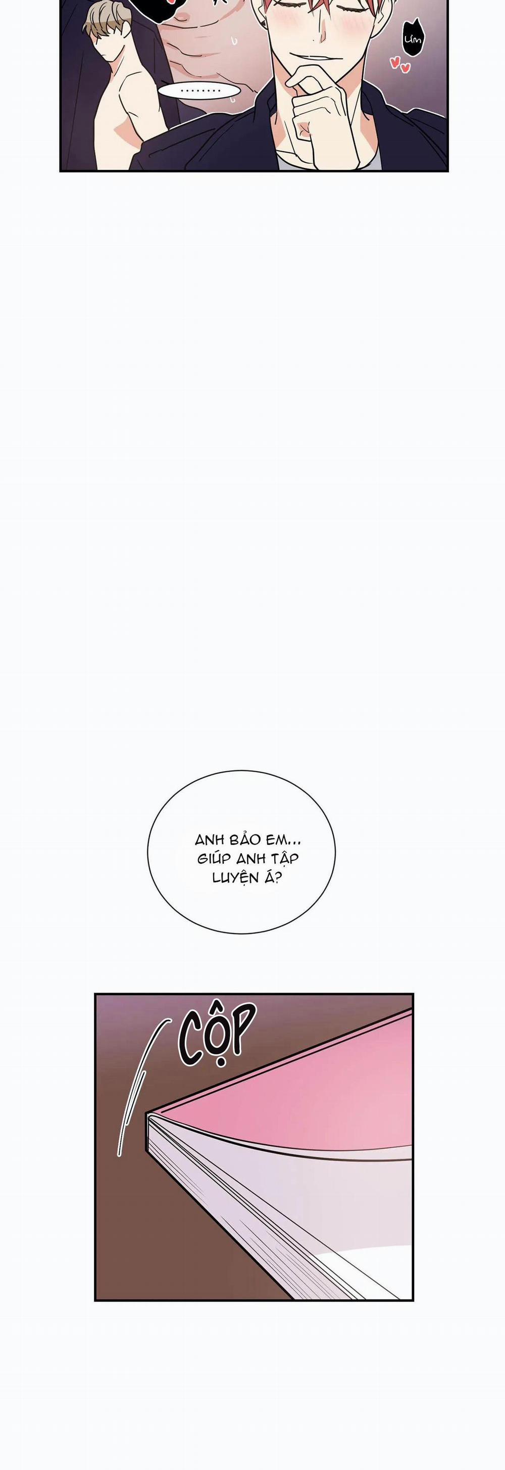 Mâu thuẫn và tương phản 13 trang 17