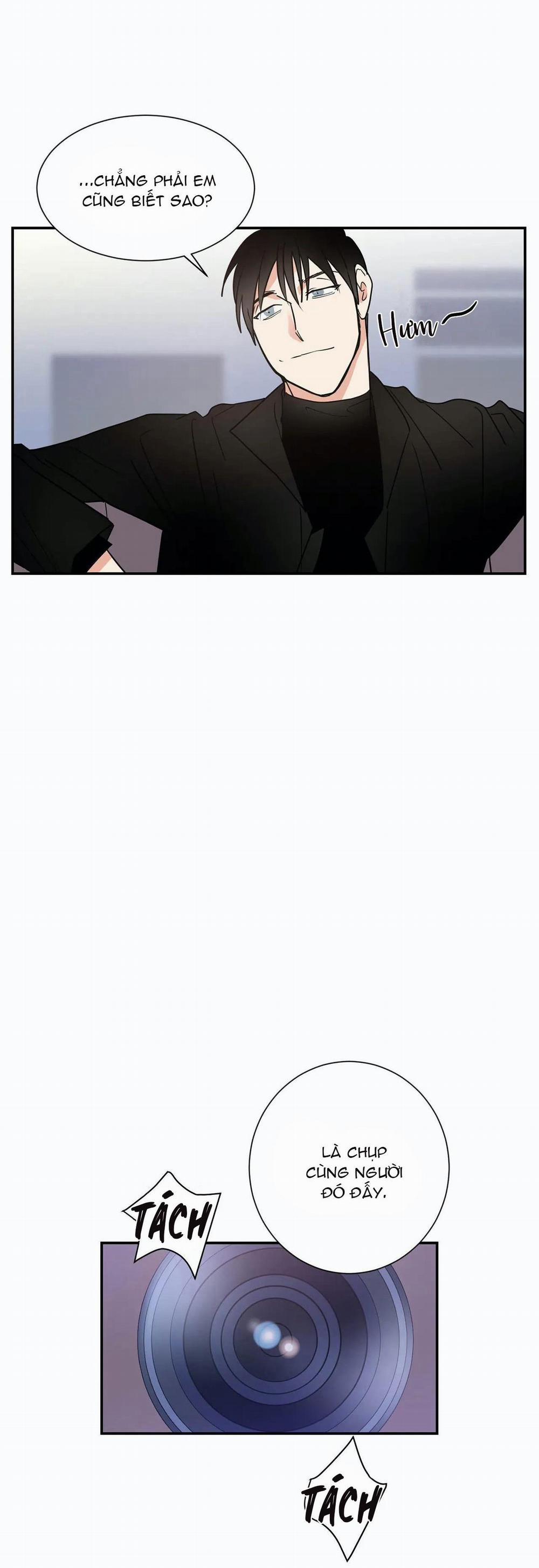 Mâu thuẫn và tương phản 13 trang 19