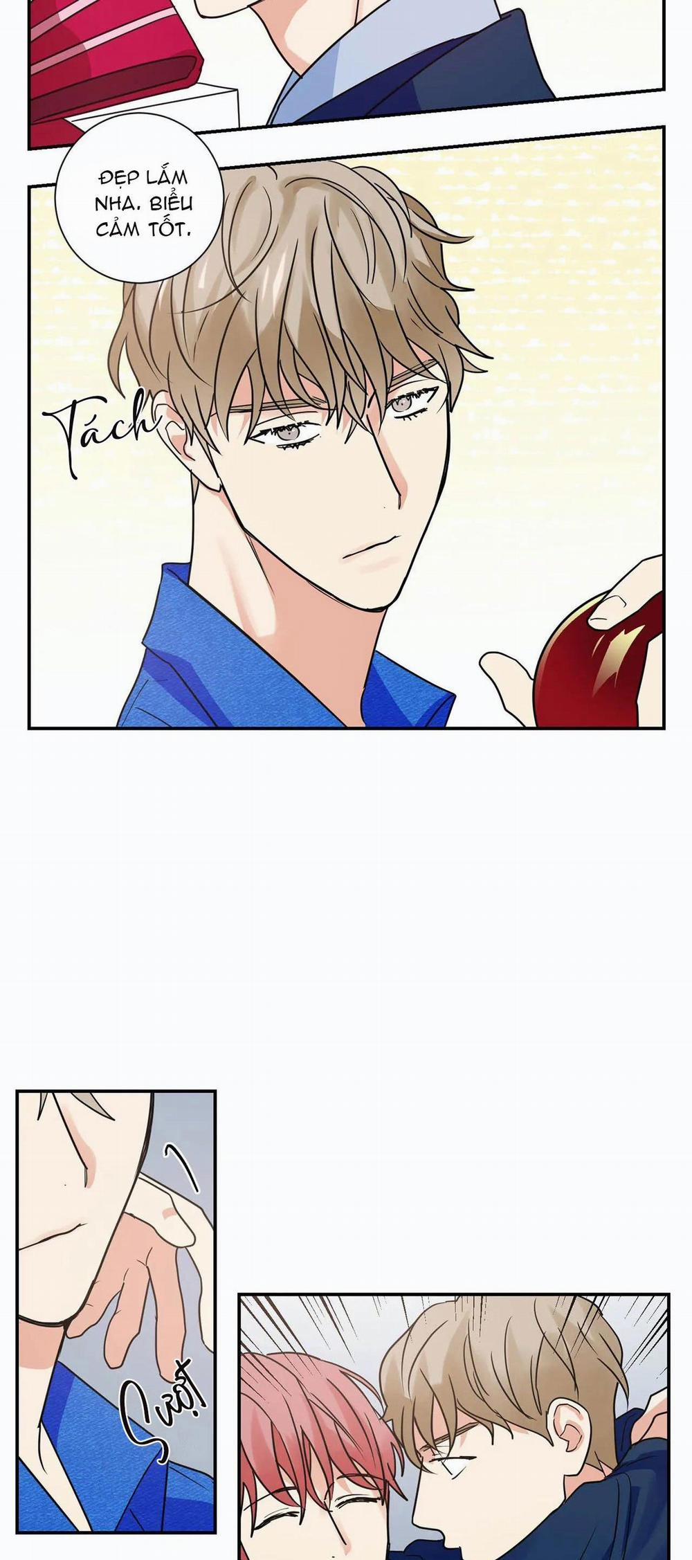 Mâu thuẫn và tương phản 13 trang 21