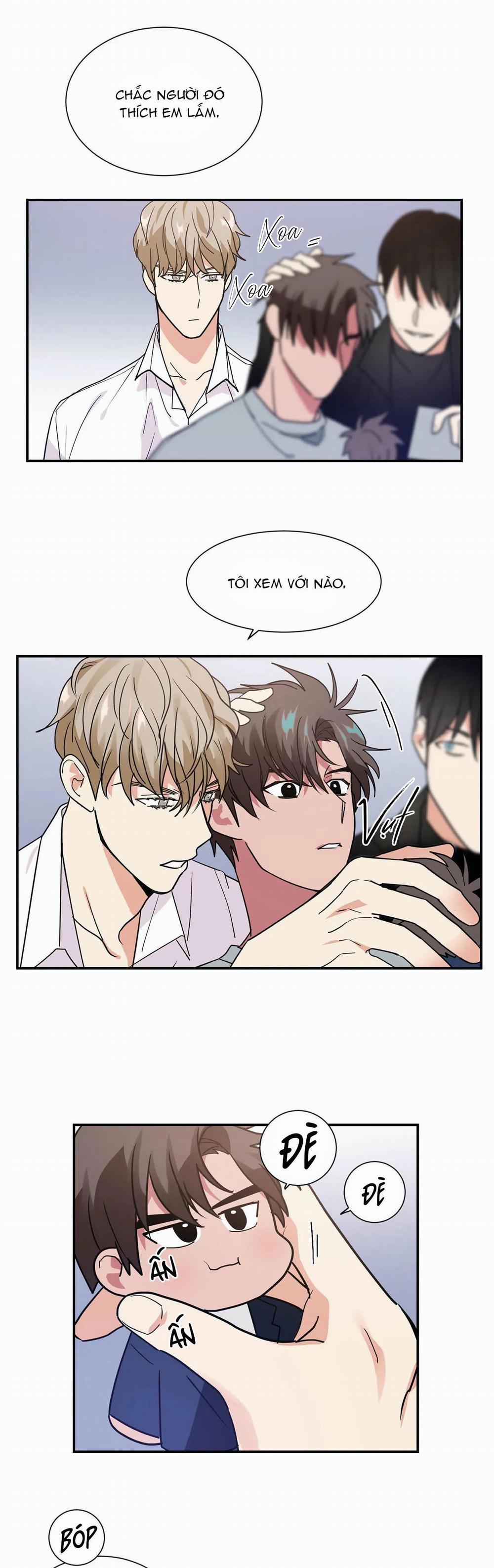 Mâu thuẫn và tương phản 13 trang 4