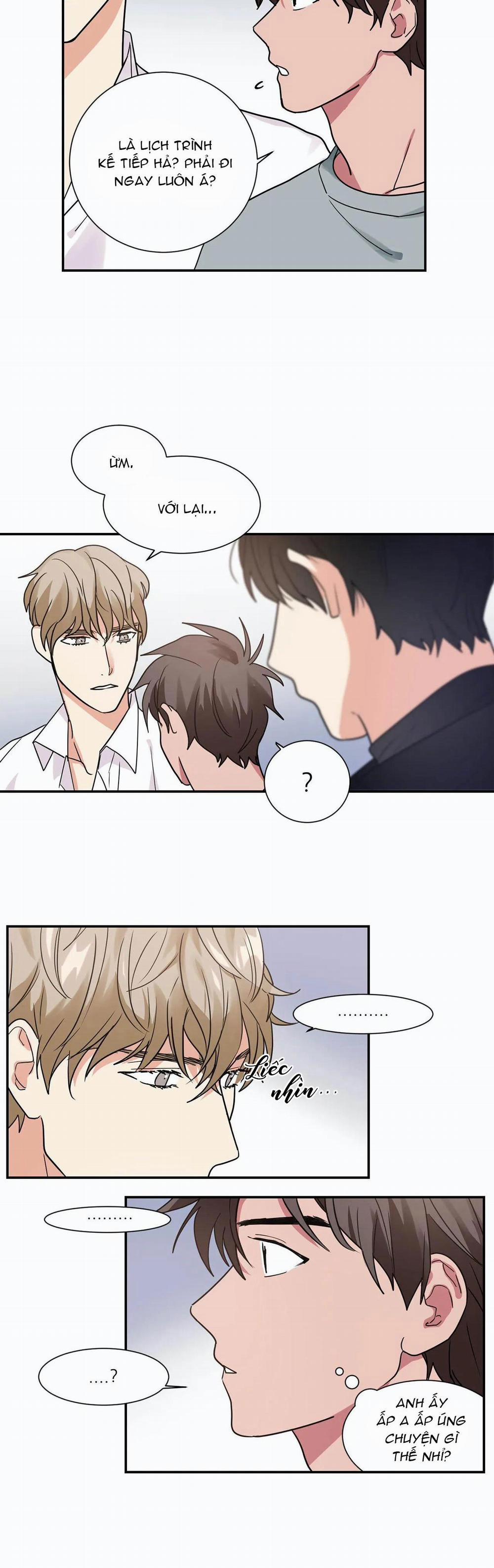 Mâu thuẫn và tương phản 13 trang 7