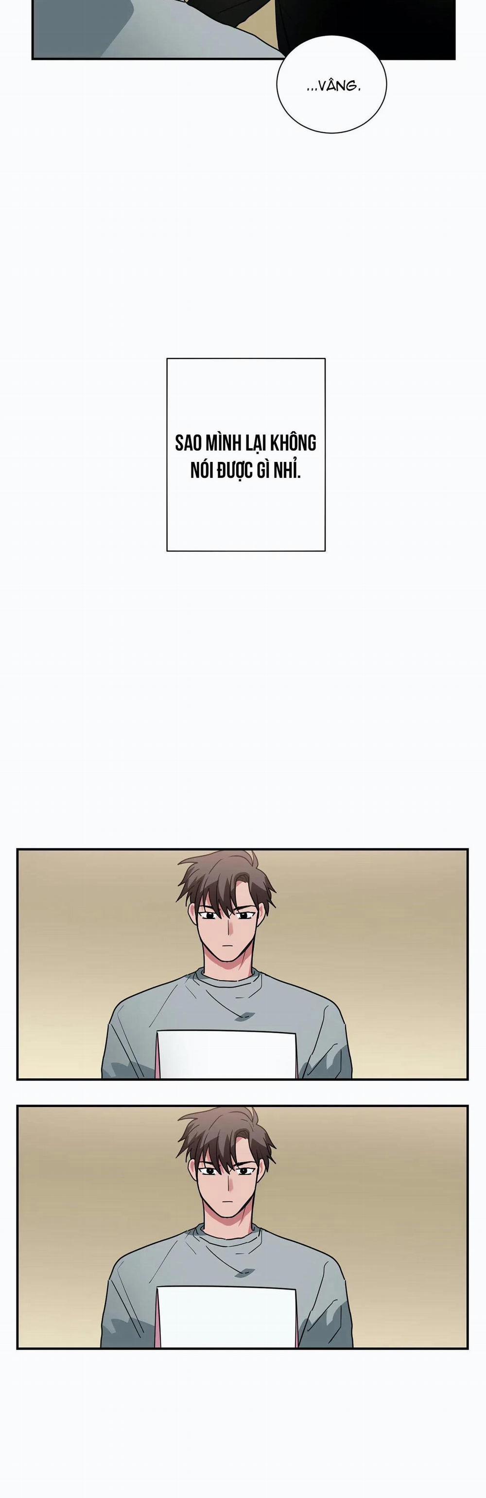 Mâu thuẫn và tương phản 14 trang 11