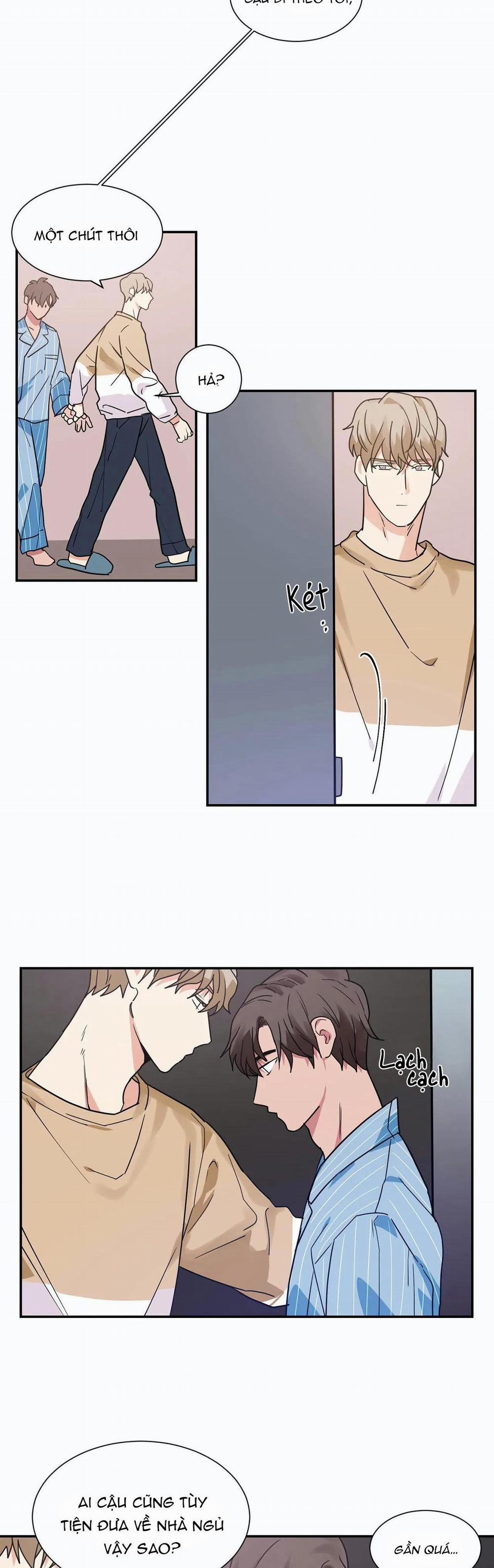 Mâu thuẫn và tương phản 15 trang 10