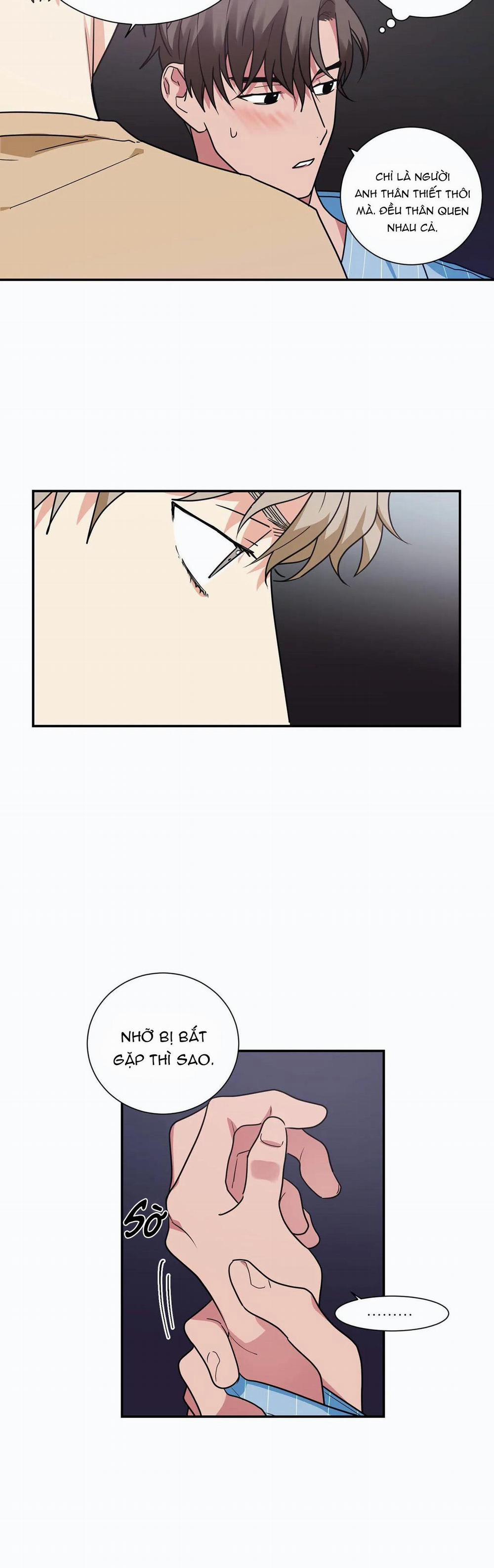 Mâu thuẫn và tương phản 15 trang 11