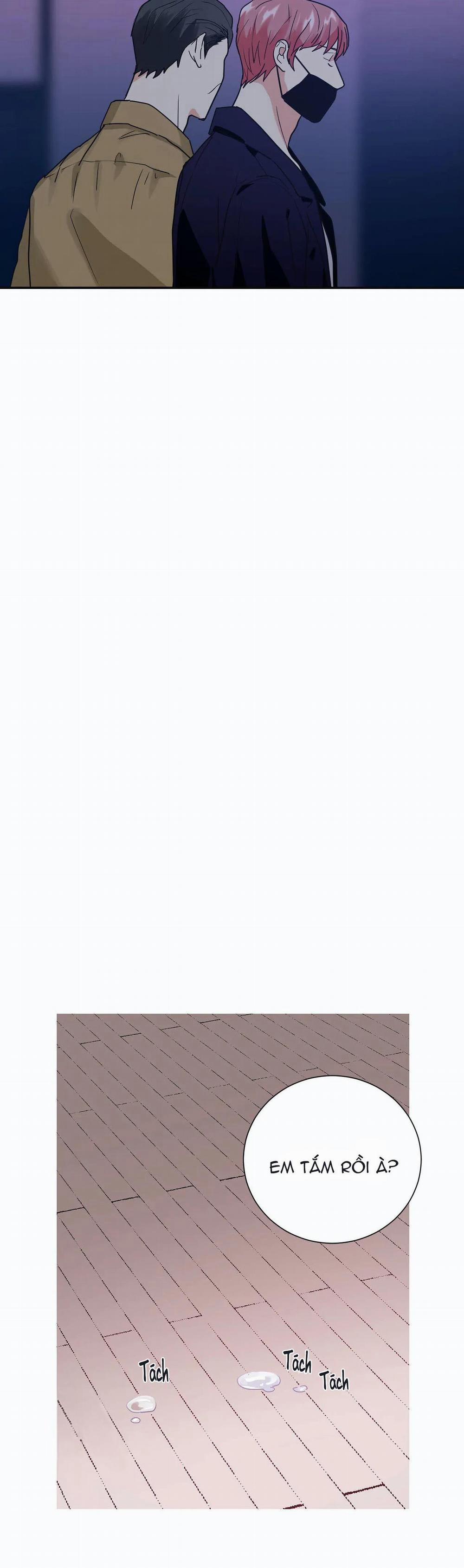 Mâu thuẫn và tương phản 15 trang 3