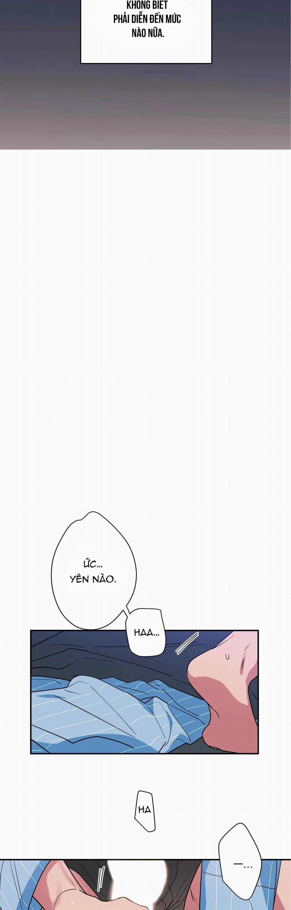 Mâu thuẫn và tương phản 16 trang 13