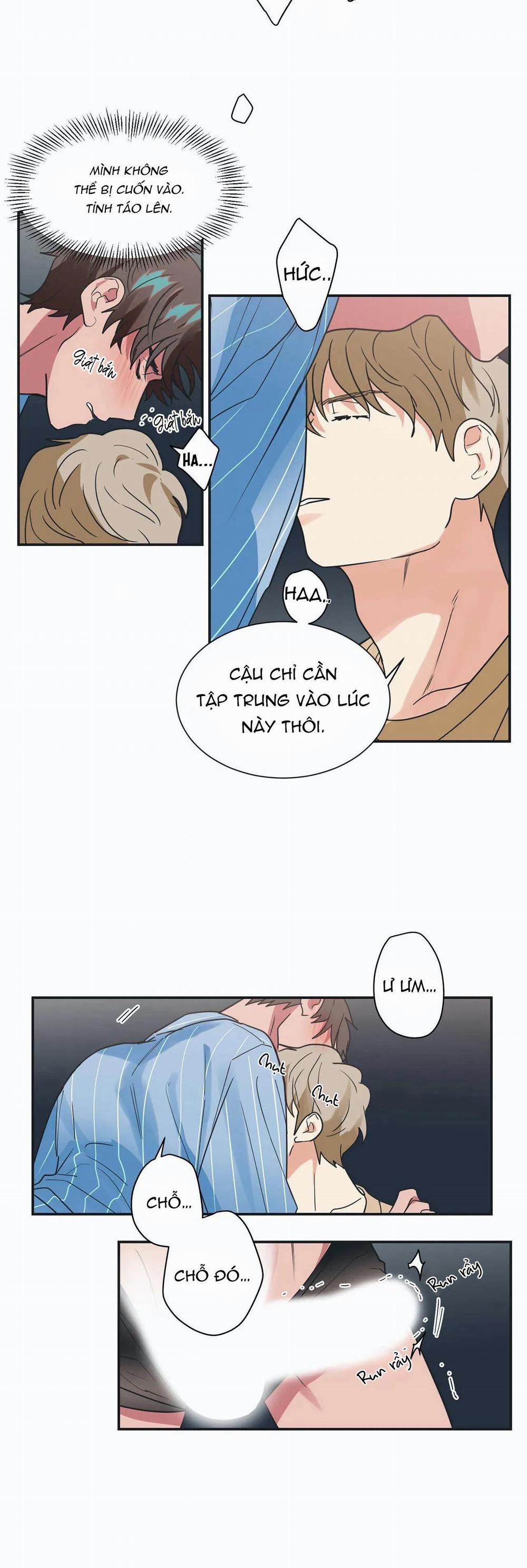 Mâu thuẫn và tương phản 16 trang 17