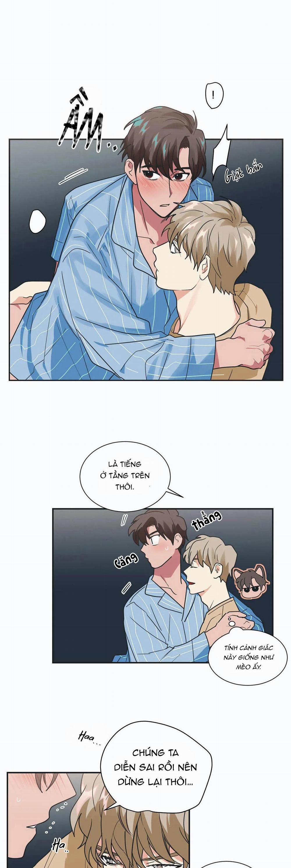 Mâu thuẫn và tương phản 16 trang 18