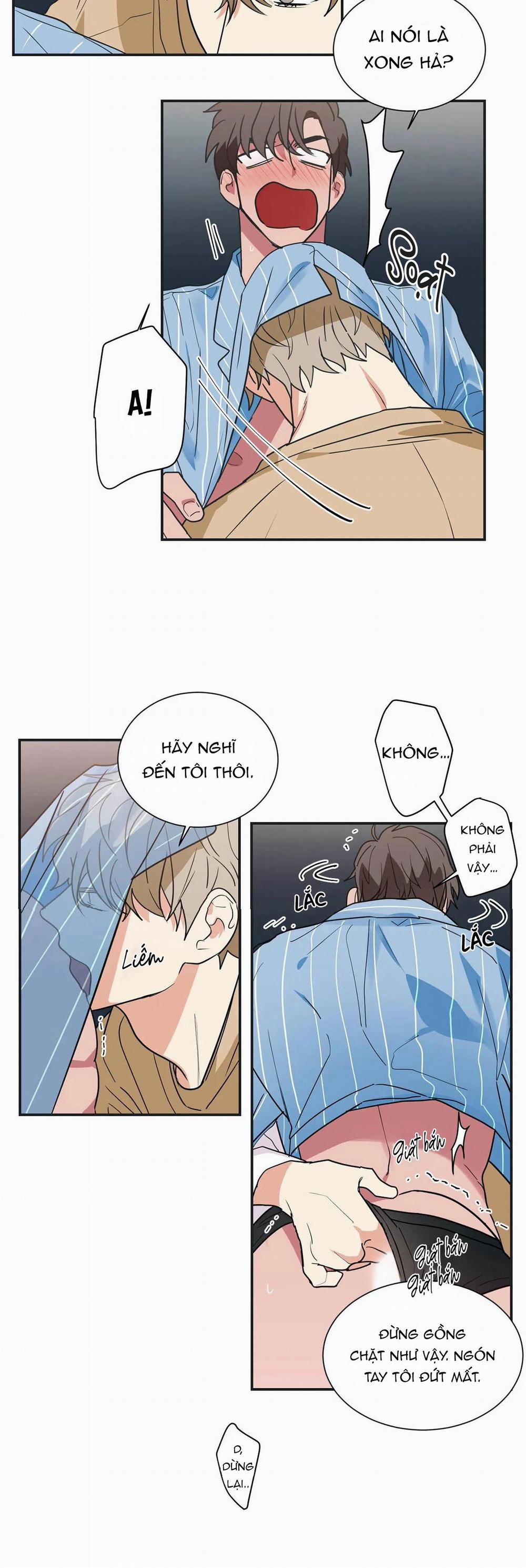 Mâu thuẫn và tương phản 16 trang 19