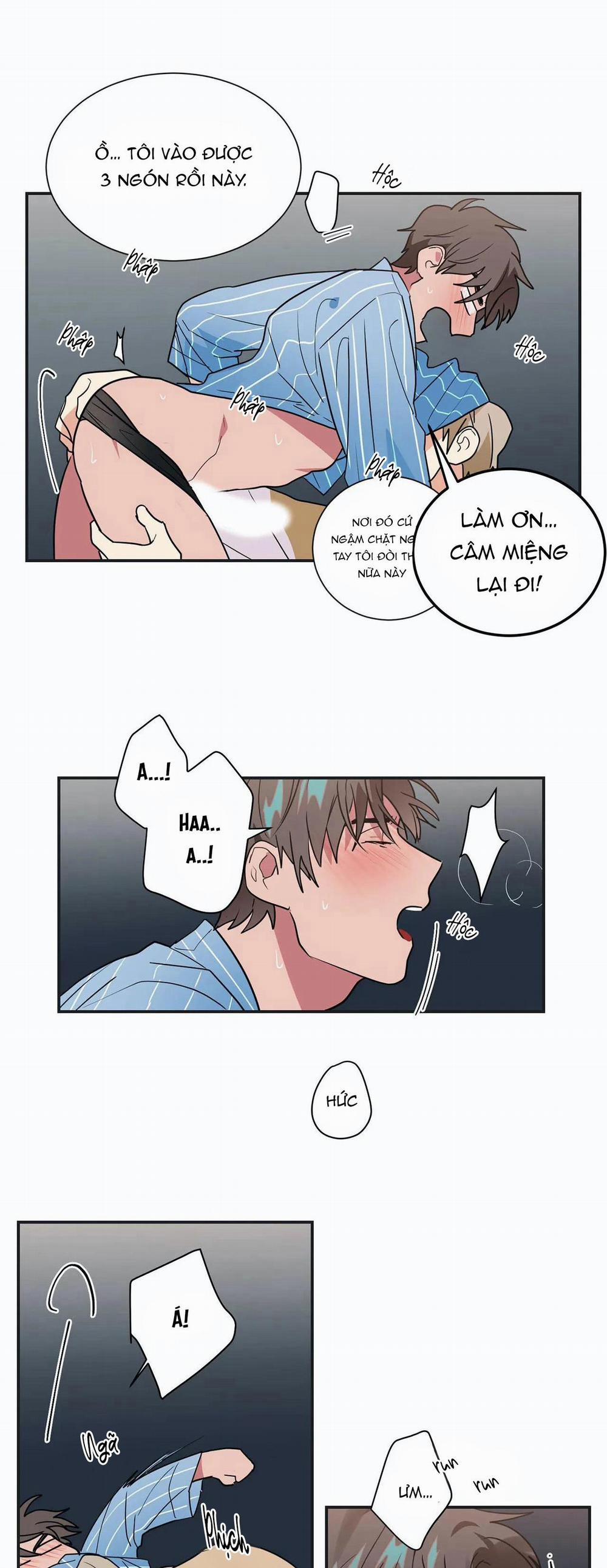 Mâu thuẫn và tương phản 16 trang 20