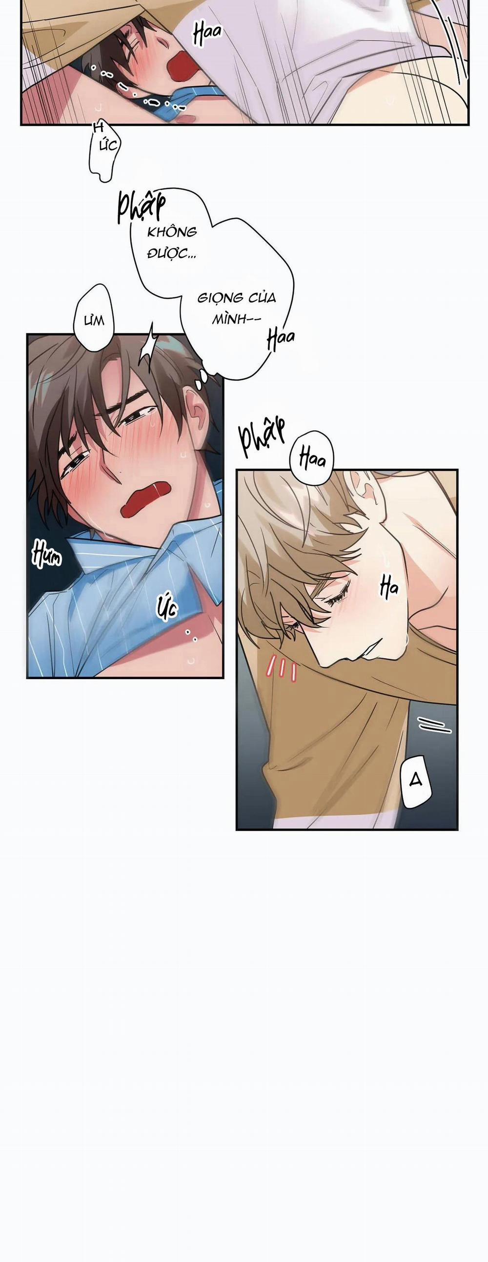 Mâu thuẫn và tương phản 16 trang 23