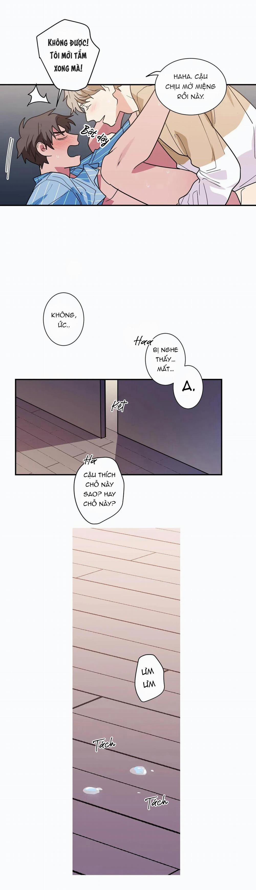 Mâu thuẫn và tương phản 16 trang 26