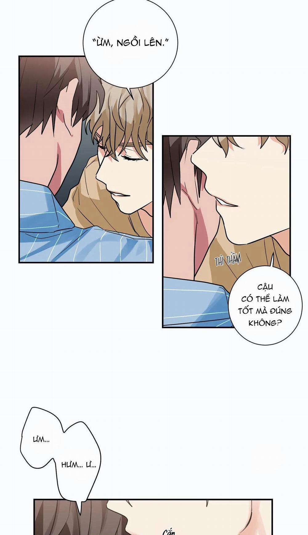 Mâu thuẫn và tương phản 16 trang 5