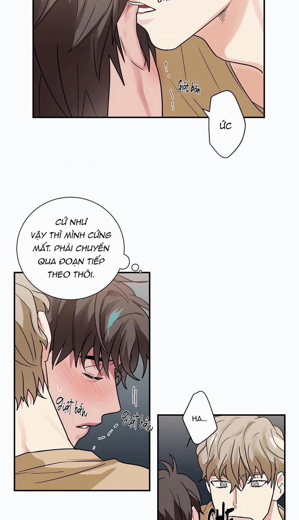 Mâu thuẫn và tương phản 16 trang 6