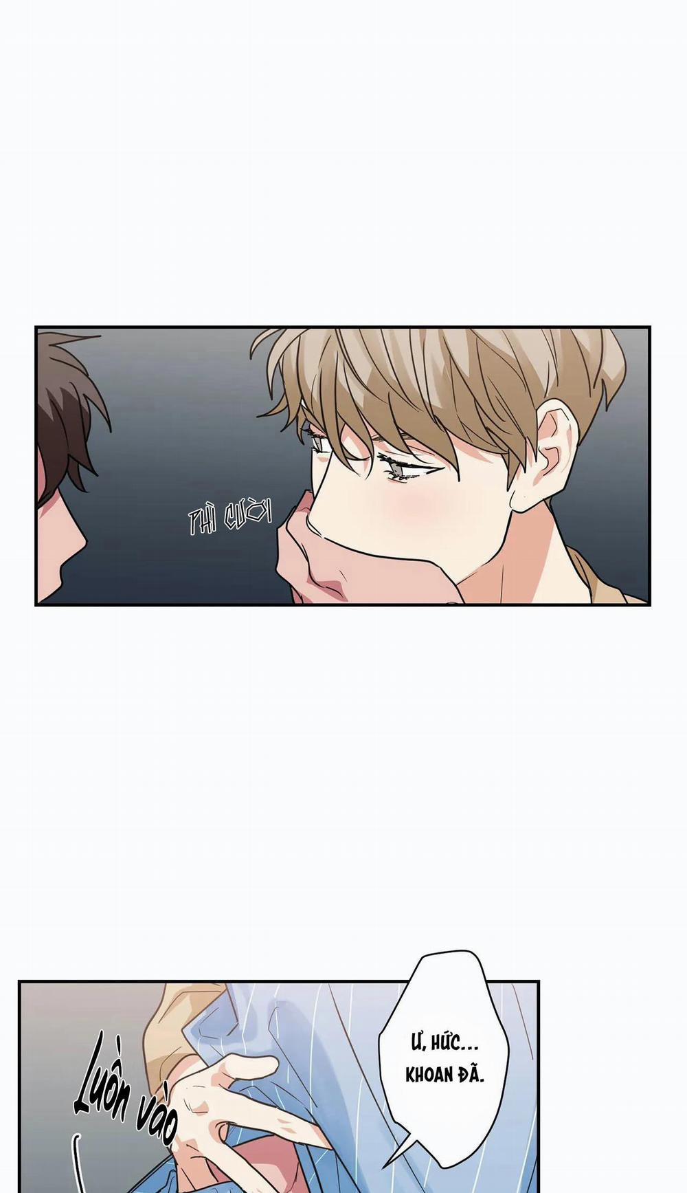 Mâu thuẫn và tương phản 16 trang 8