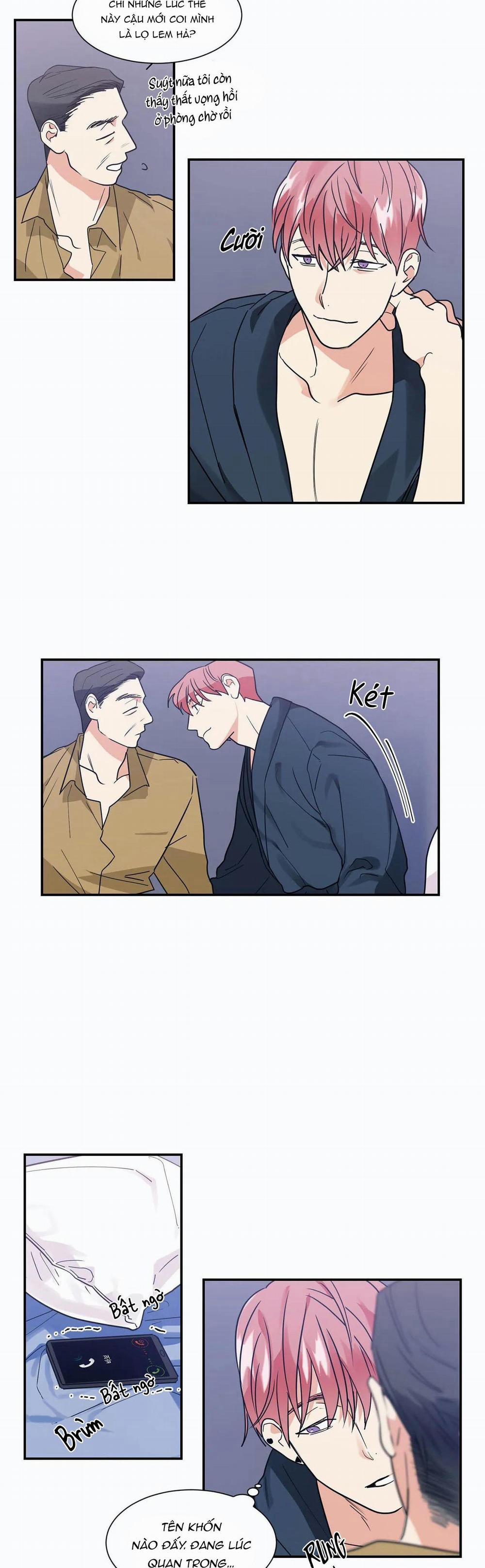 Mâu thuẫn và tương phản 17 trang 13