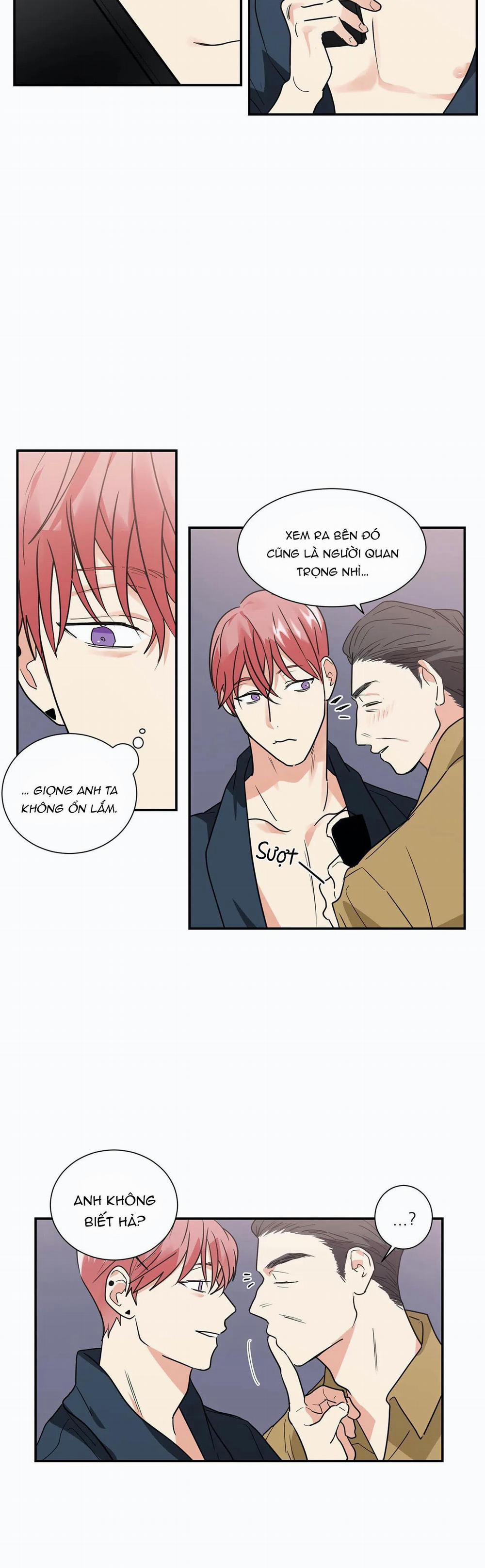 Mâu thuẫn và tương phản 17 trang 16