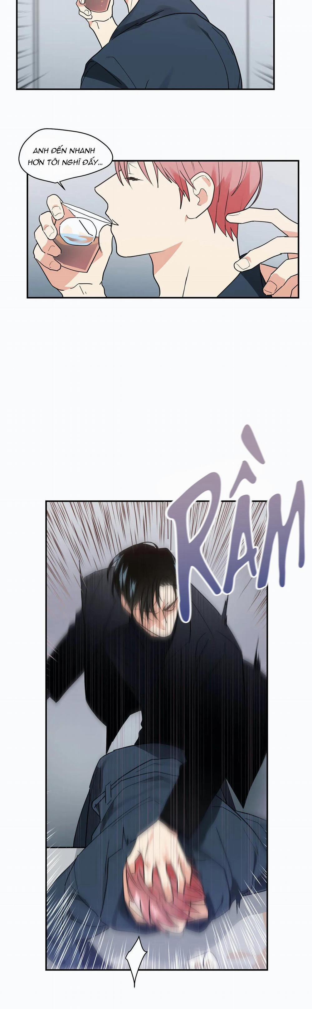 Mâu thuẫn và tương phản 17 trang 19