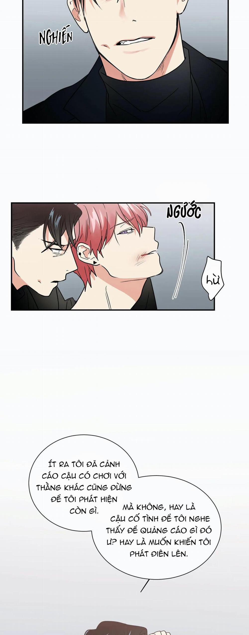 Mâu thuẫn và tương phản 17 trang 21