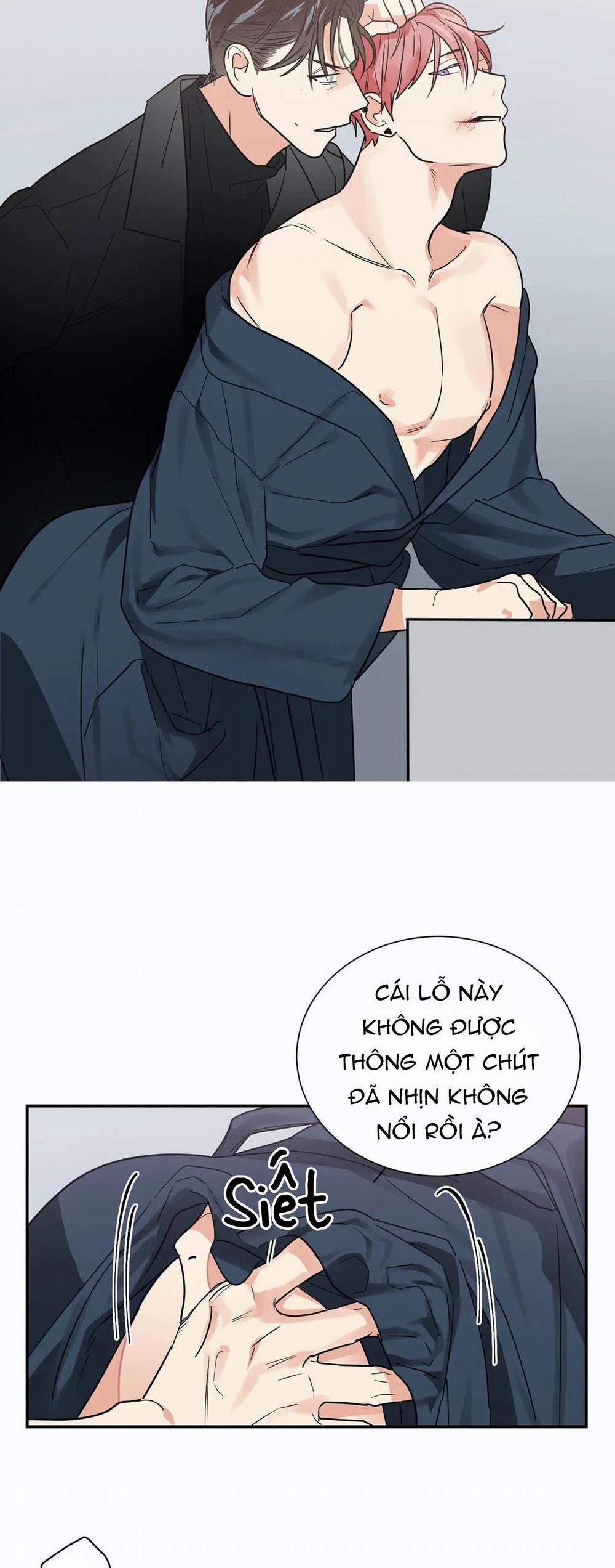 Mâu thuẫn và tương phản 17 trang 22