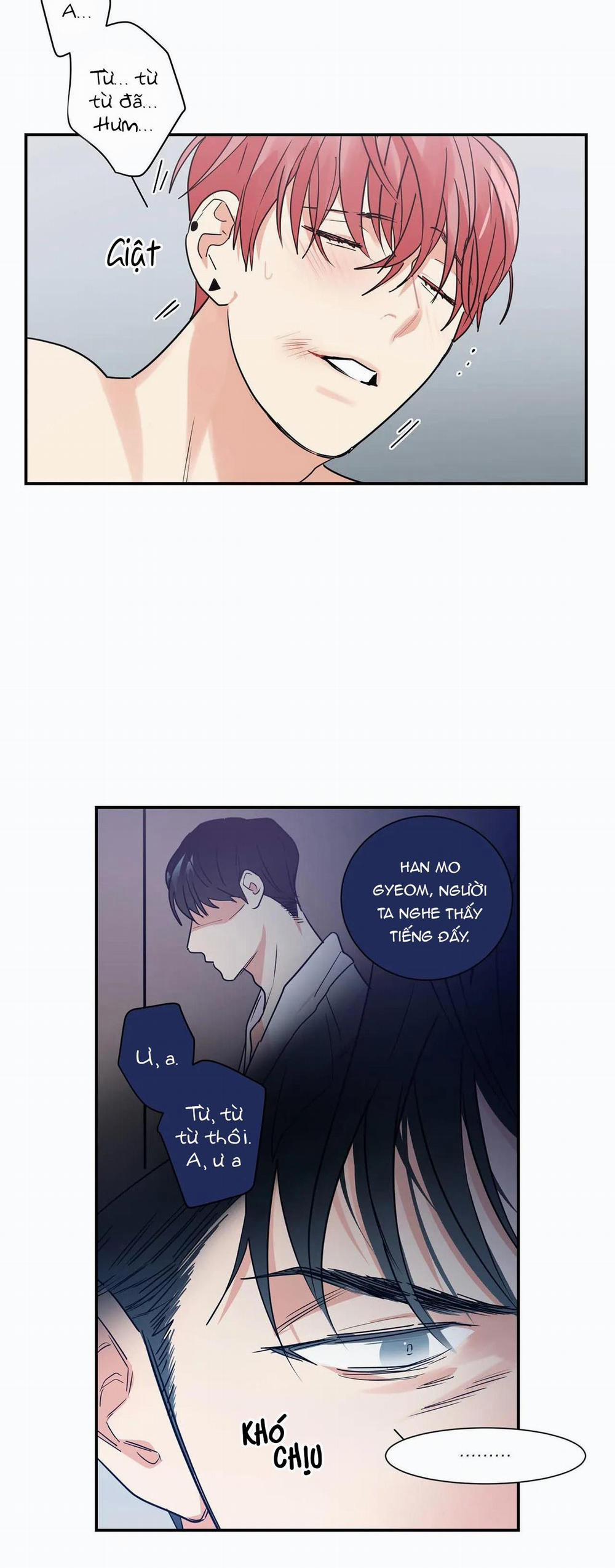 Mâu thuẫn và tương phản 17 trang 23