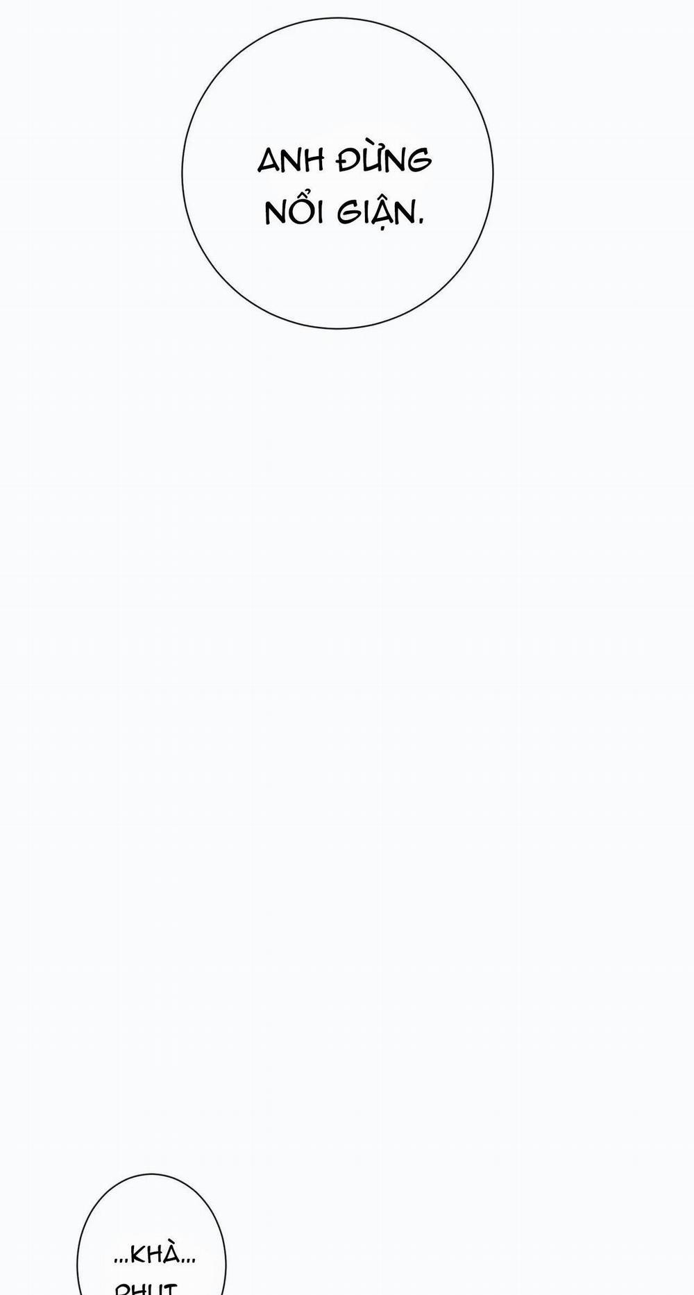 Mâu thuẫn và tương phản 17 trang 24