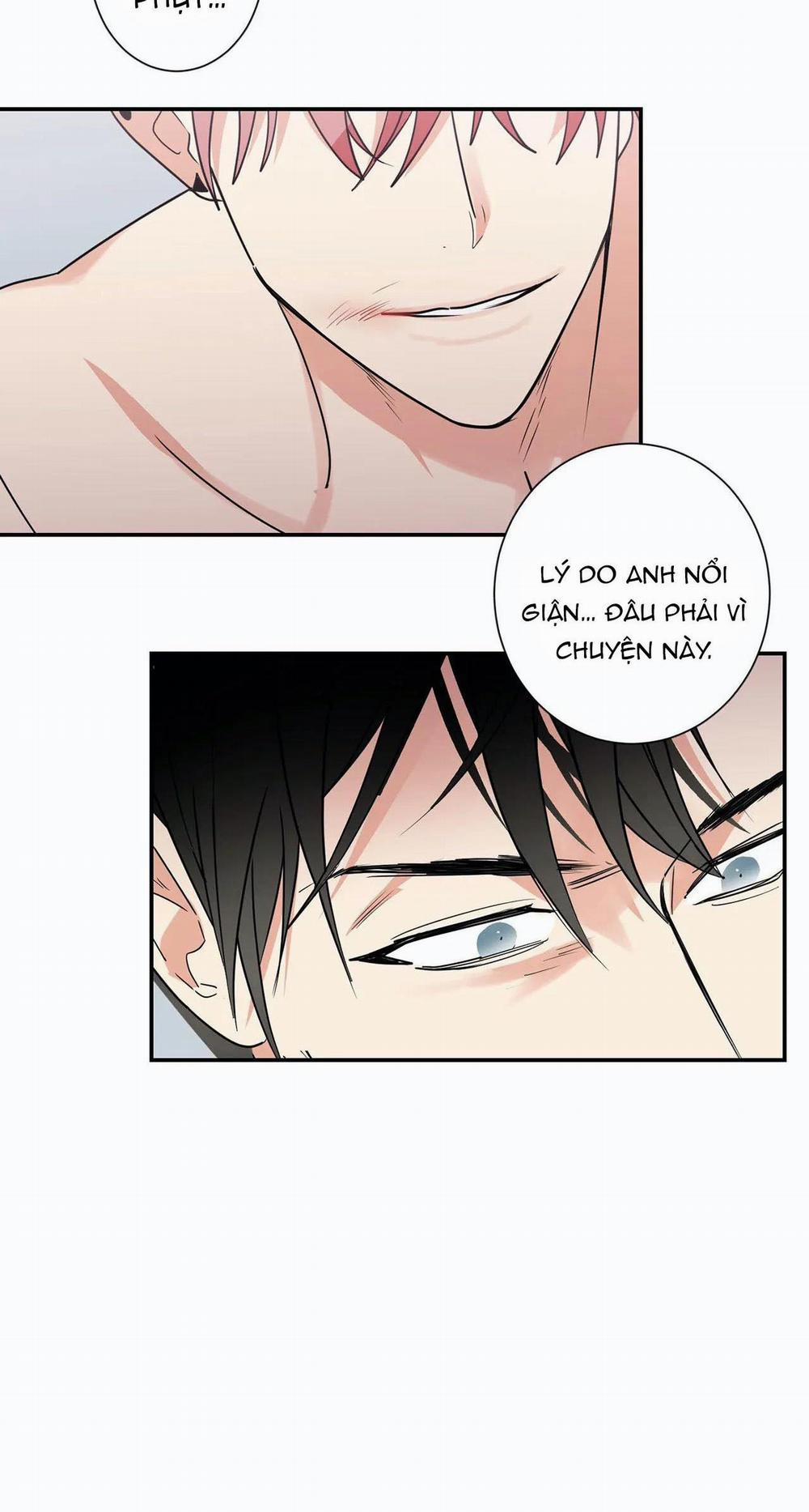 Mâu thuẫn và tương phản 17 trang 25