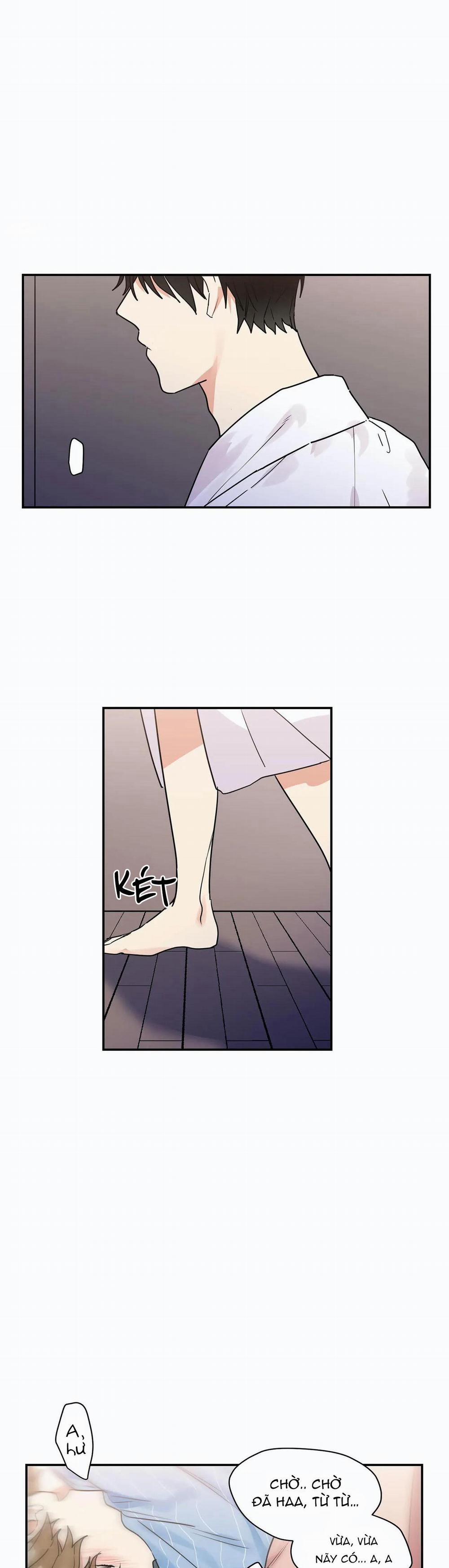 Mâu thuẫn và tương phản 17 trang 4