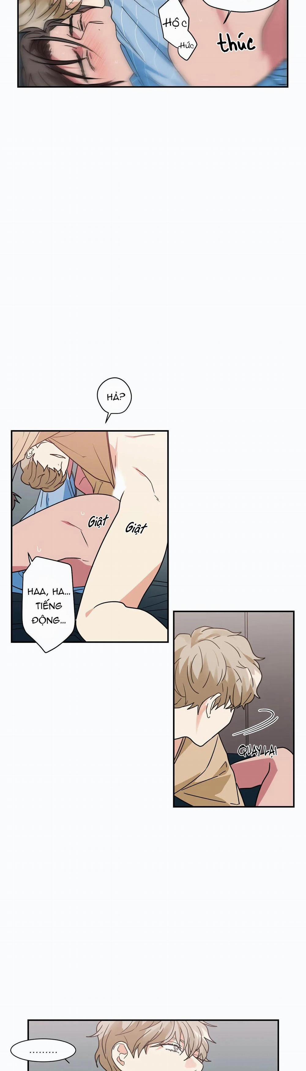 Mâu thuẫn và tương phản 17 trang 5