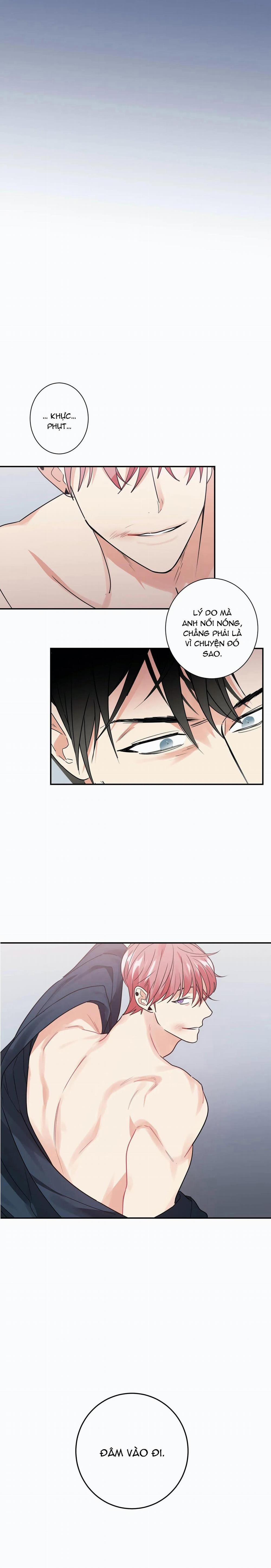 Mâu thuẫn và tương phản 18 trang 3