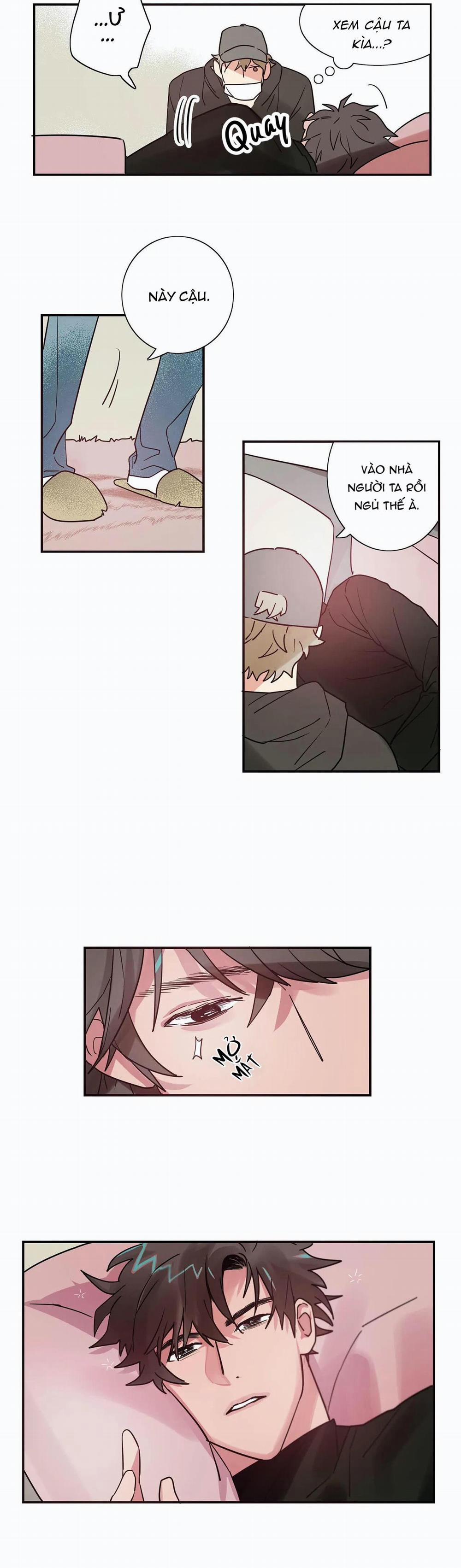 Mâu thuẫn và tương phản 2 trang 11