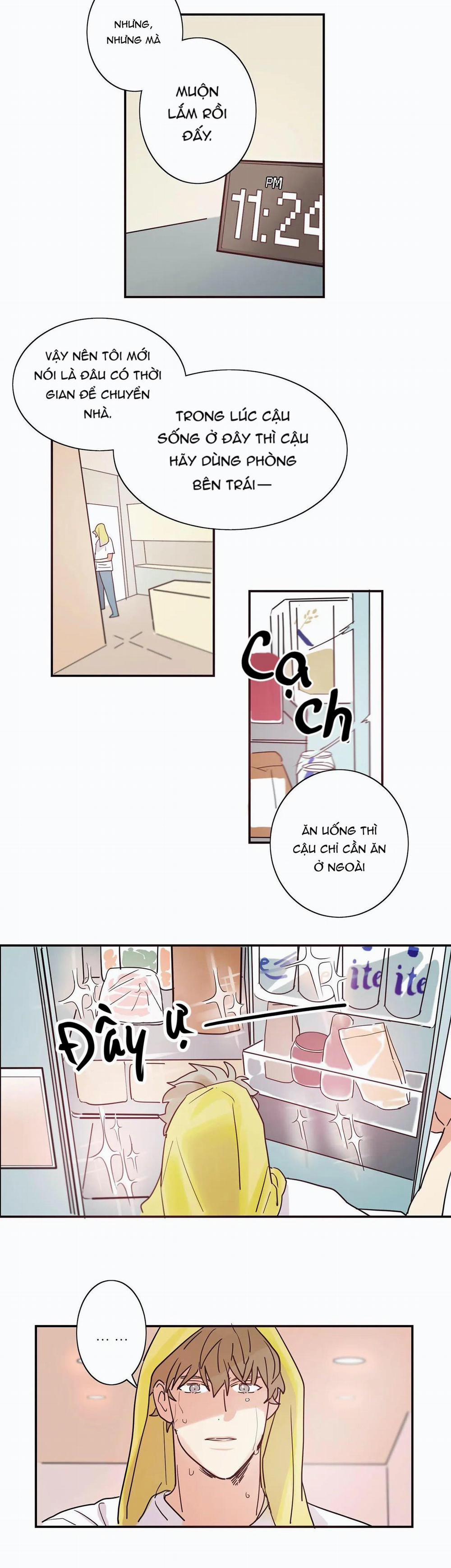 Mâu thuẫn và tương phản 2 trang 15