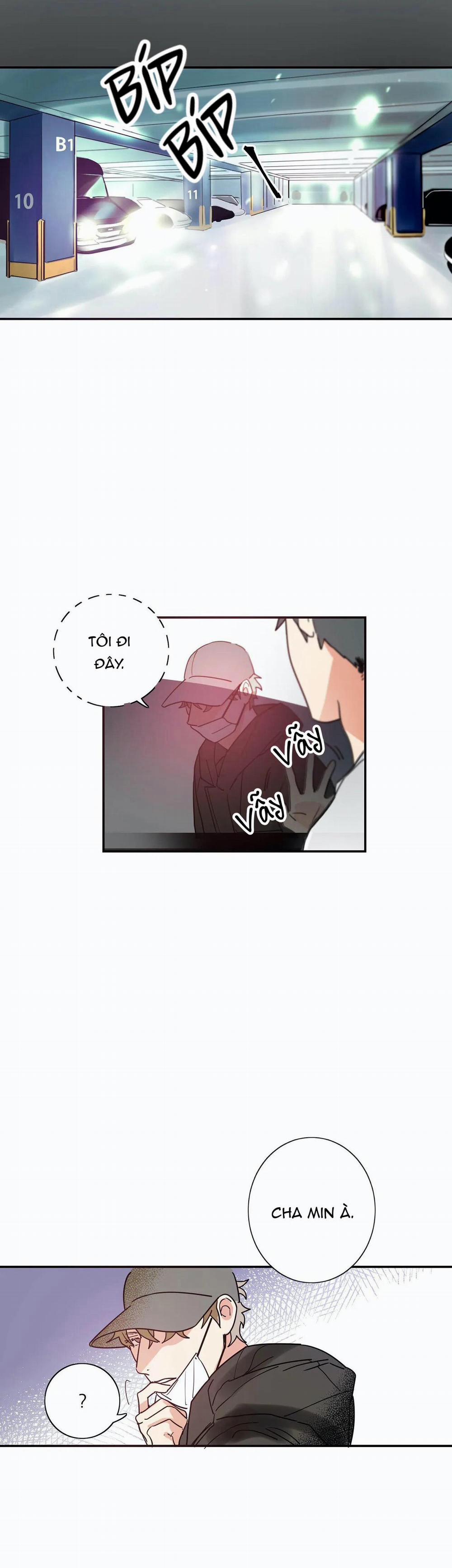 Mâu thuẫn và tương phản 2 trang 5