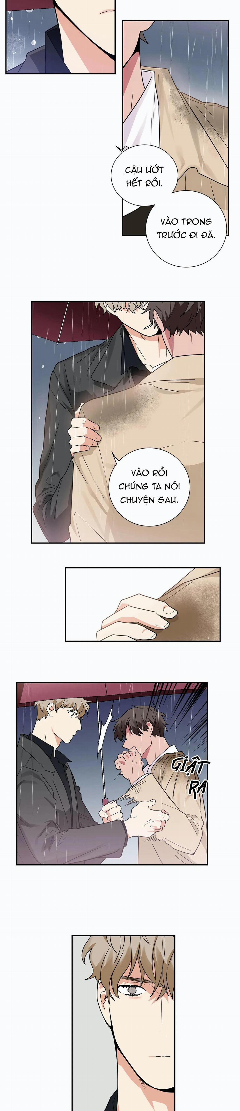 Mâu thuẫn và tương phản 20 trang 10