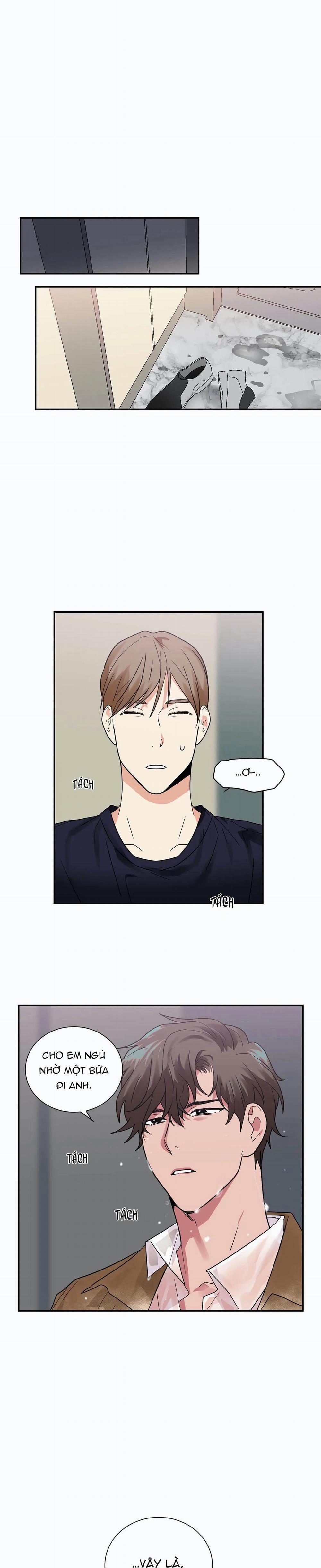 Mâu thuẫn và tương phản 20 trang 12