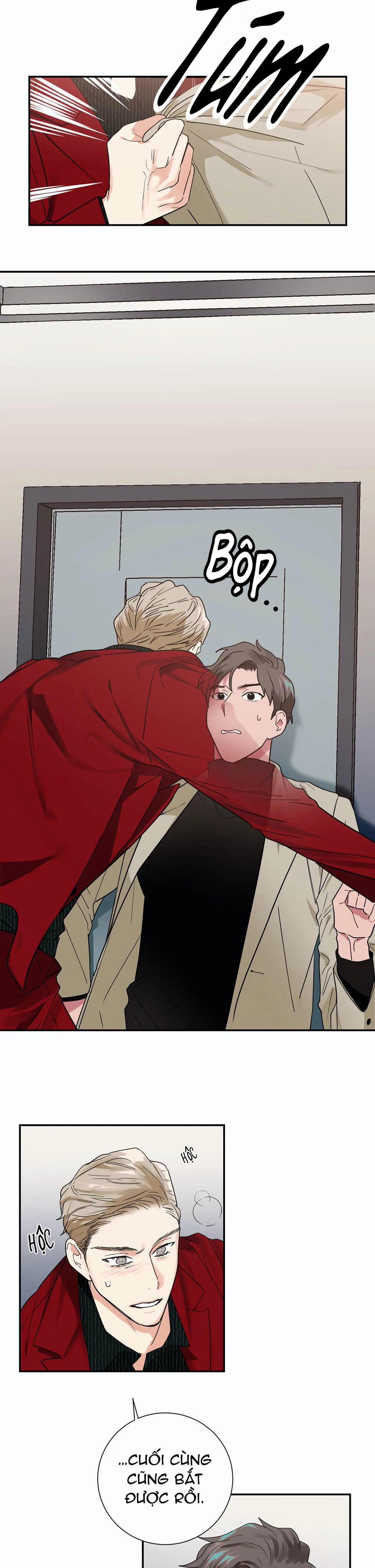 Mâu thuẫn và tương phản 21 trang 13