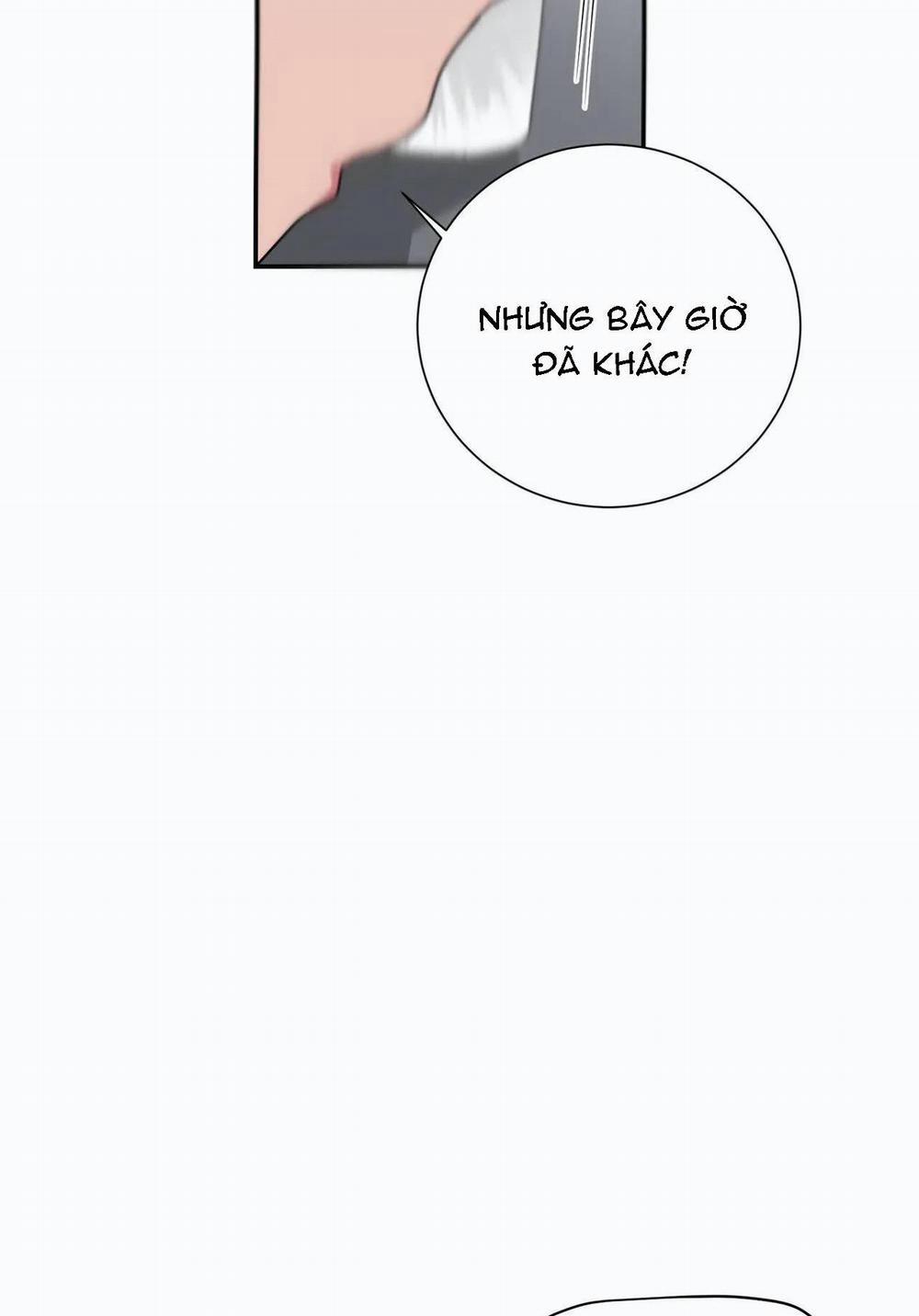 Mâu thuẫn và tương phản 23 trang 17