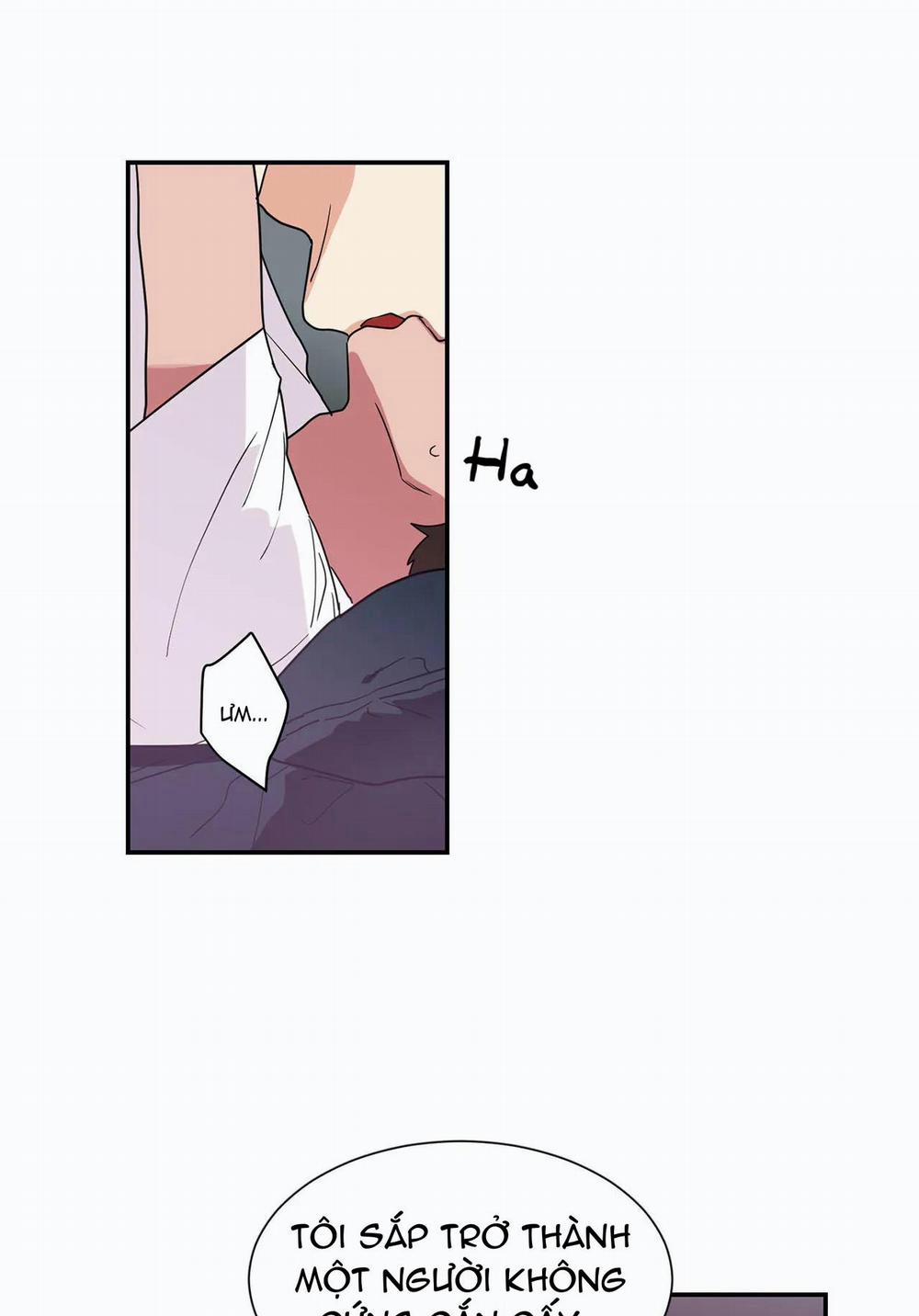 Mâu thuẫn và tương phản 24 trang 16