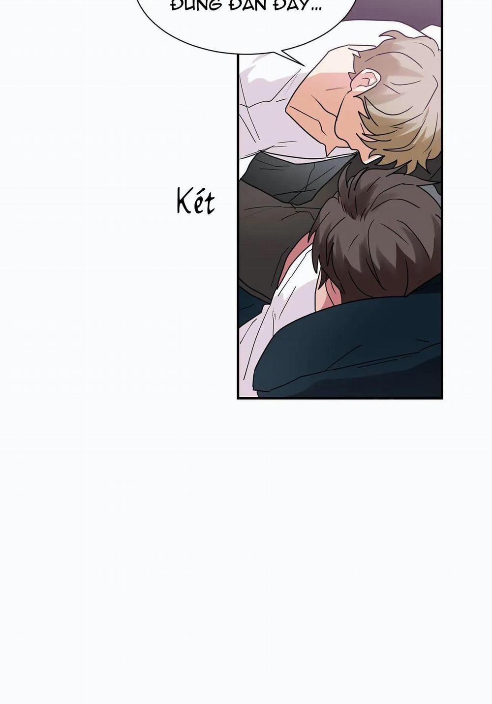 Mâu thuẫn và tương phản 24 trang 17