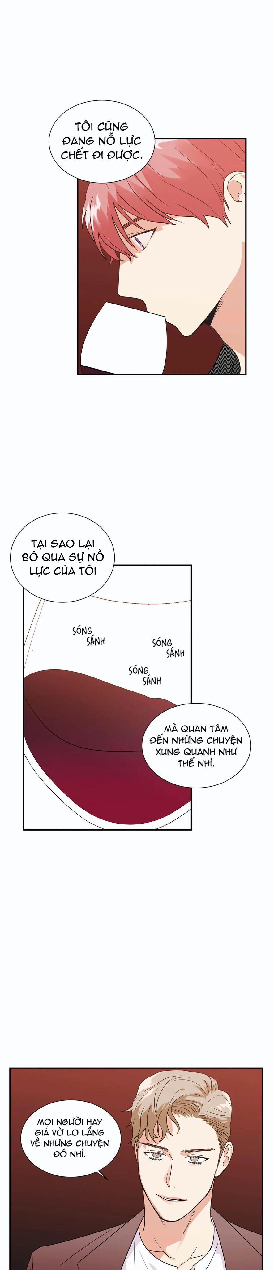 Mâu thuẫn và tương phản 24 trang 6