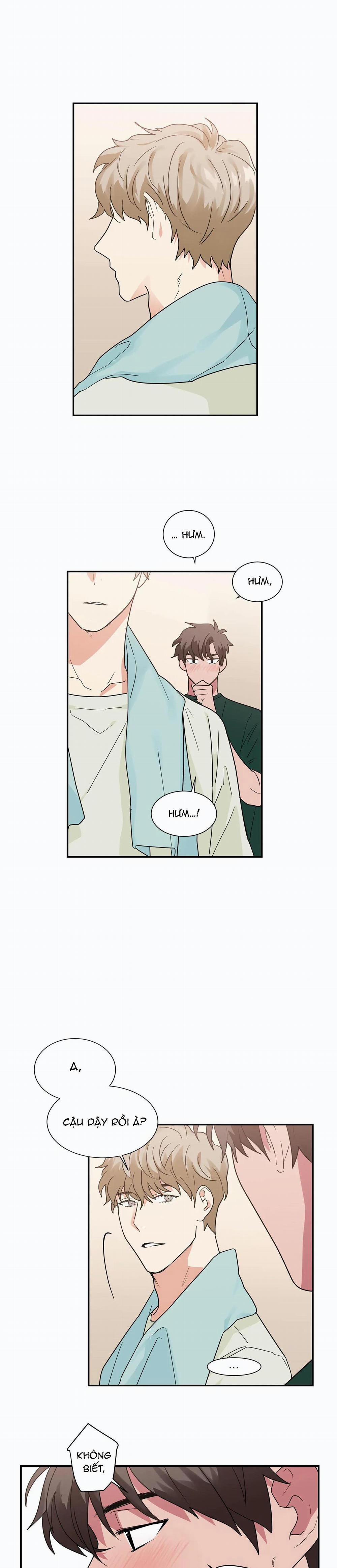 Mâu thuẫn và tương phản 25 trang 15