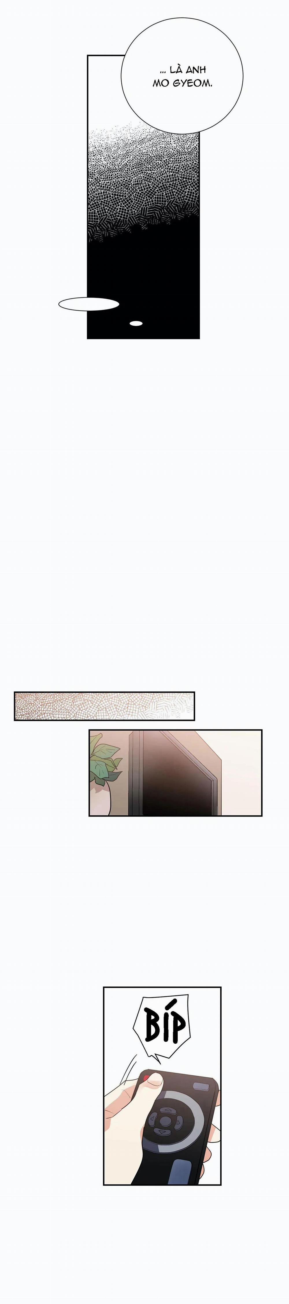 Mâu thuẫn và tương phản 25 trang 8