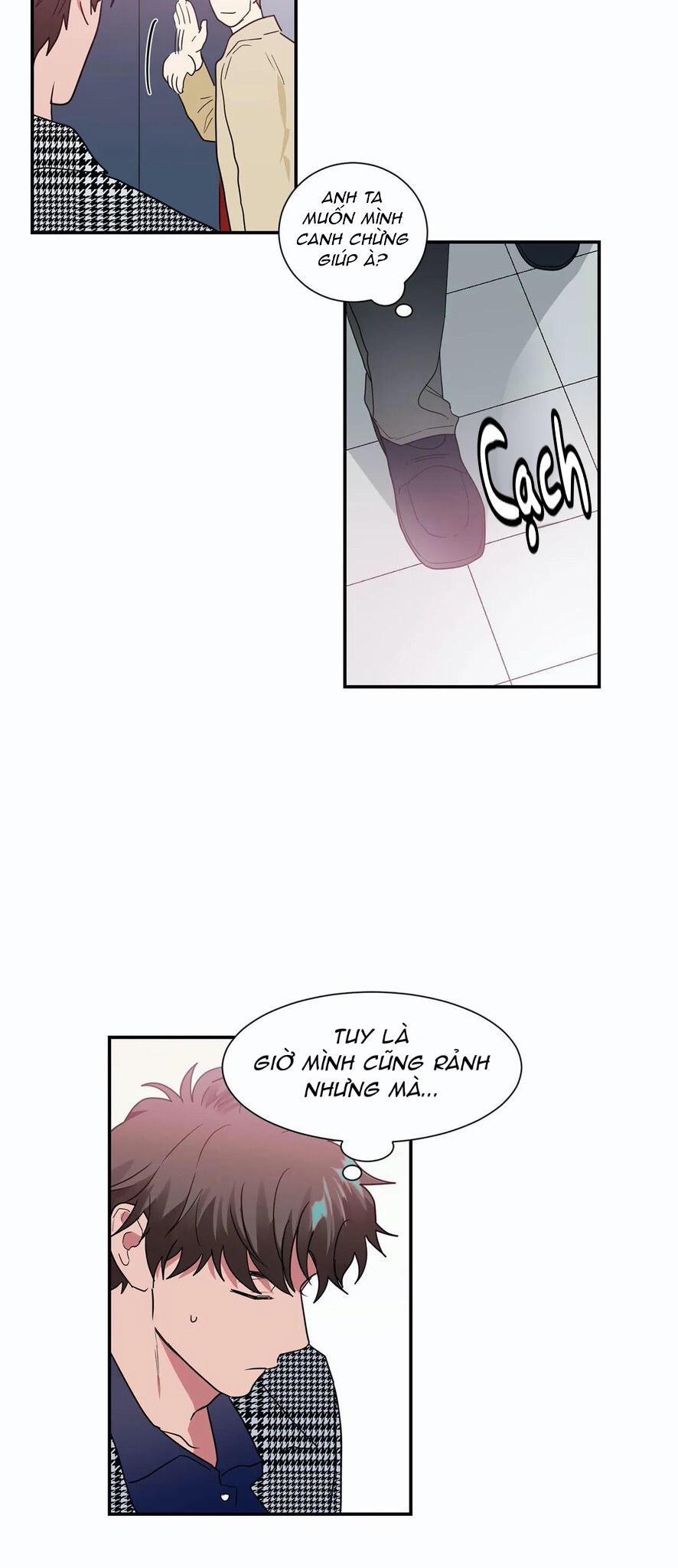 Mâu thuẫn và tương phản 26 trang 14