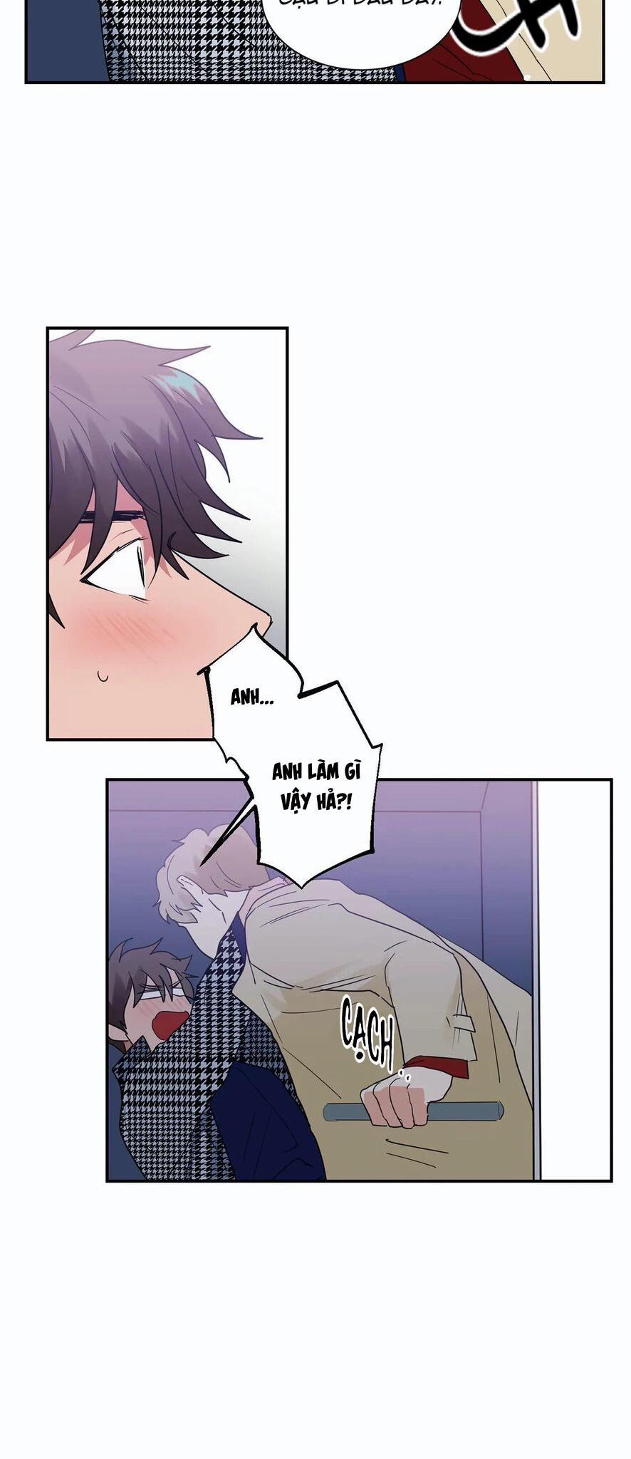 Mâu thuẫn và tương phản 26 trang 17