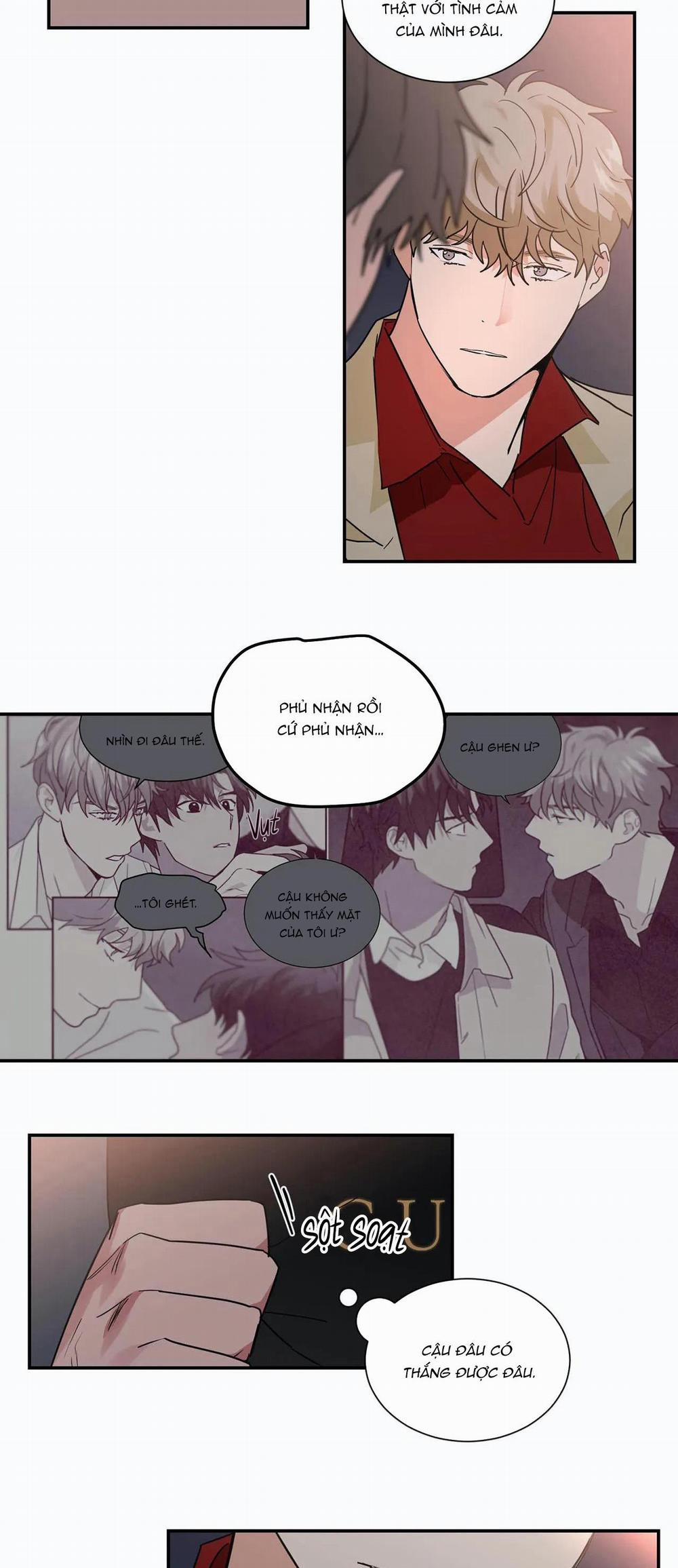 Mâu thuẫn và tương phản 28 trang 13